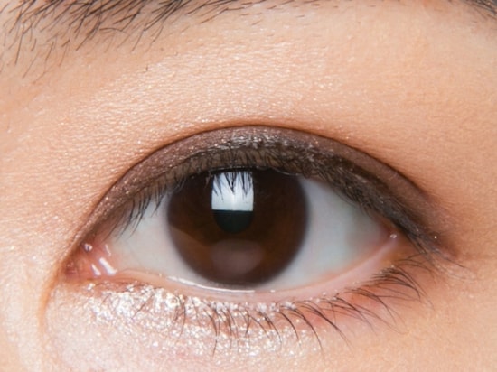 ハイライトカラーでより立体的に