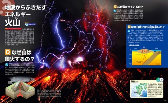 中ページ画像
