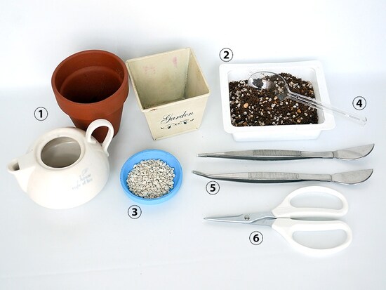 多肉の寄せ植え材料