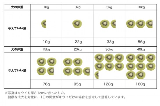 犬　キウイ　食べて良い　量　病気　薬　食べ合わせ