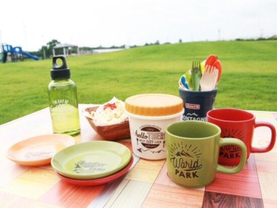 セリアグッズでピクニック写真がこんなに華やかに