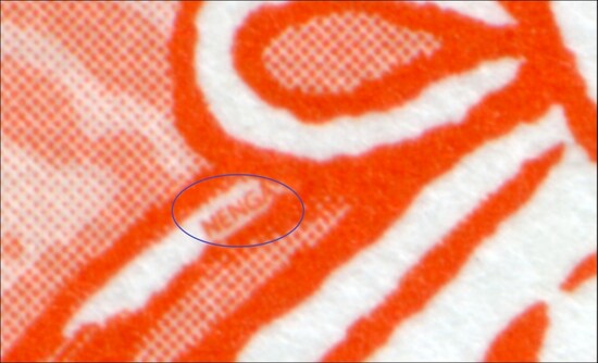 絵馬の紐の結び目に隠されたマイクロ文字