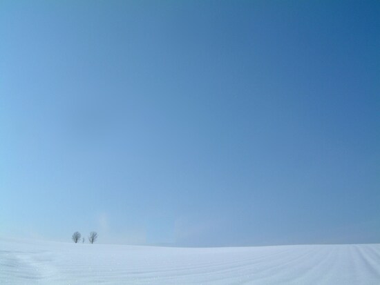 親子の木の冬（1）