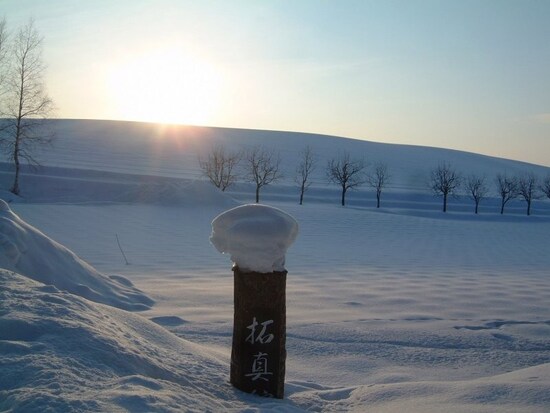 拓真館近くの雪の風景