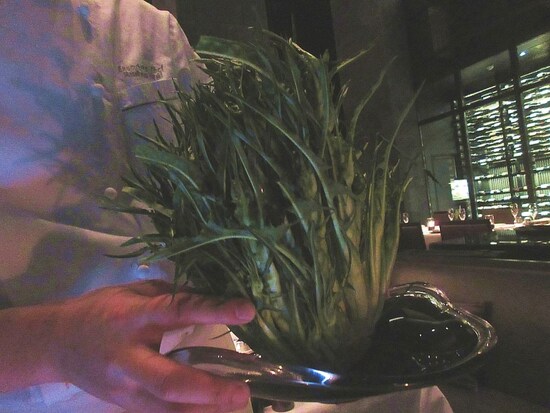 アマン東京 プンタレッラ