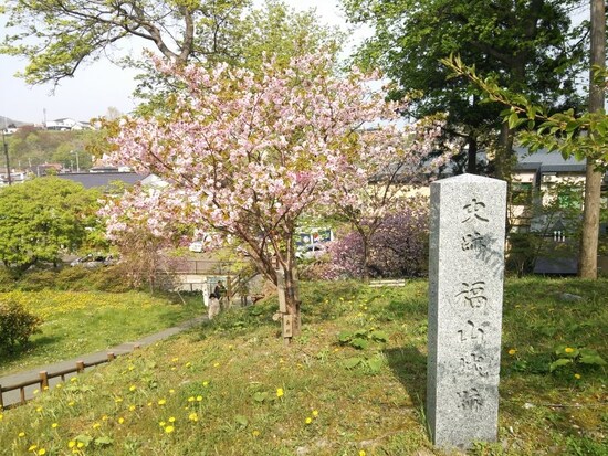 松前城の桜（2）