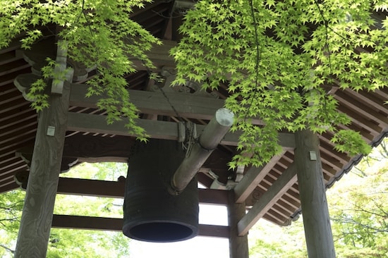 青もみじ越しの鐘楼