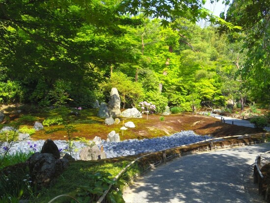 宝厳院の庭園