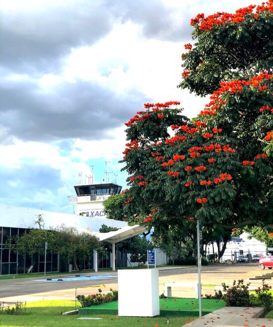 オアハカ空港