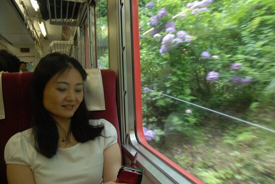 車窓から楽しめるあじさい