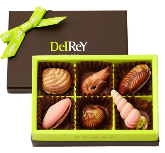 フリュイ・ドゥ・メール6個入 デルレイ（DelReY）