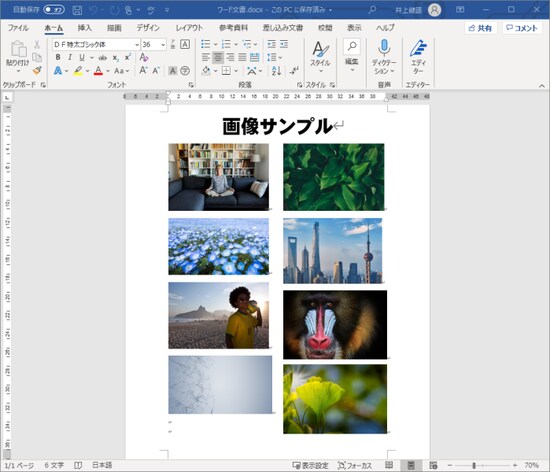 もとのワード文書です。文書中に画像を貼り付けています。この画像ファイルだけを抽出してみます。
