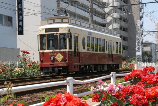 バラが咲き乱れる荒川車庫前付近