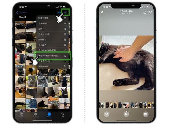 iOS 15で便利になった「写真」アプリの機能まとめ