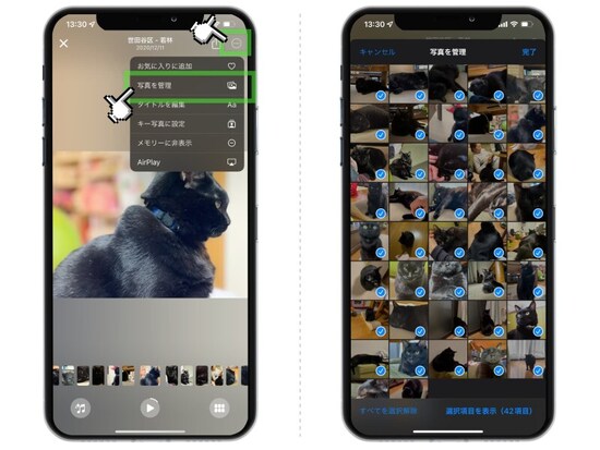 iOS 15で便利になった「写真」アプリの機能まとめ