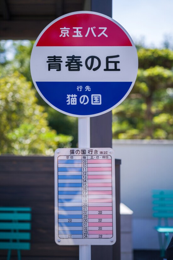 青春の丘