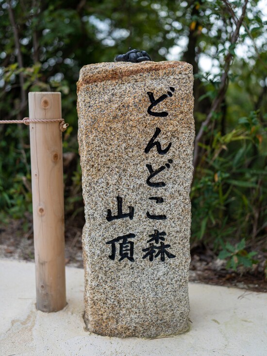 どんどこ森