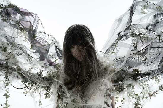Aimer