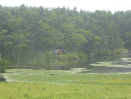 知床五湖（7）／地上遊歩道を歩くツアーの人たち