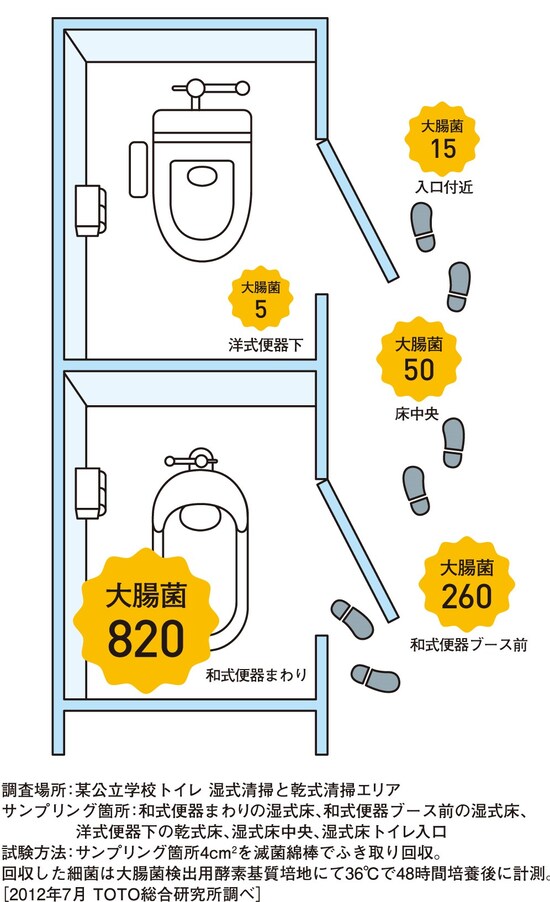 大腸菌の比較