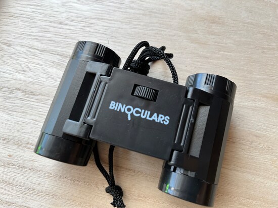 ピントが合わない場合には、調整ネジで合わせる