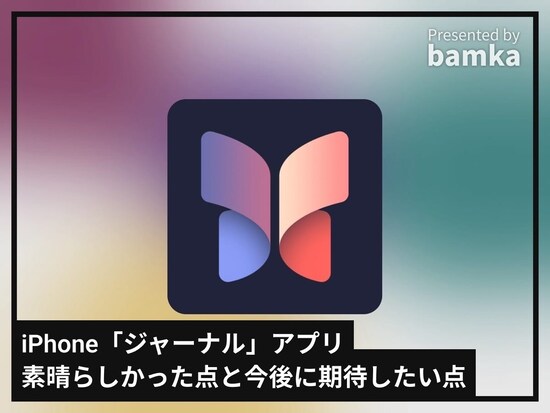 「ジャーナル」を使ってみて素晴らしいと感じた点＆今後期待したい点