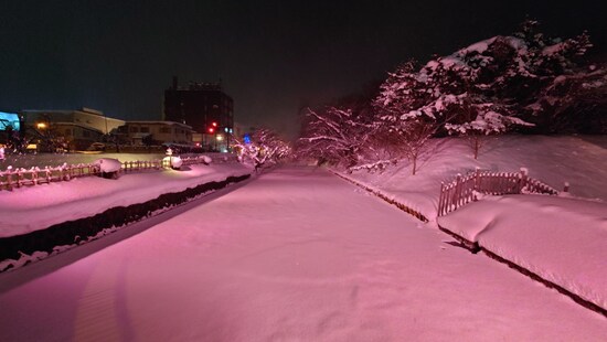 冬に咲くさくらライトアップ（8）／南東側の角からの眺め