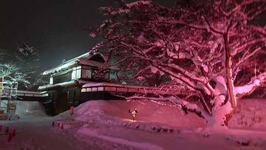 冬に咲くさくらライトアップ（13）／ライトアップされた弘前城追手門と共に