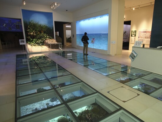 地元の人にも好評な沖縄県立博物館の展示 （C）OCVB