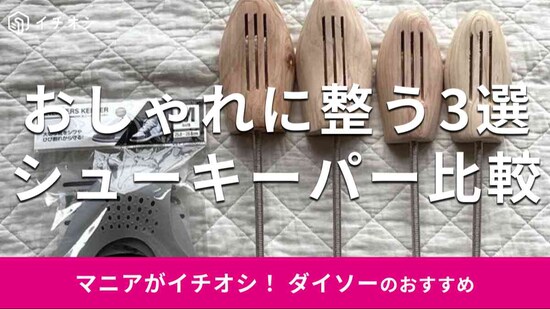ダイソーのシューキーパーおすすめ3種類