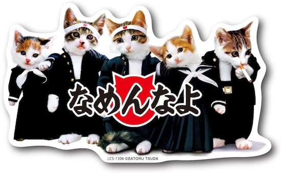 「なめんなよ」のセリフが大流行した「なめ猫」。政府広報にも起用されました。アニメ「東京卍リベンジャーズ」とコラボしたり、2.5次元舞台化されたりと、現在でも人気です（画像出典：Amazon）