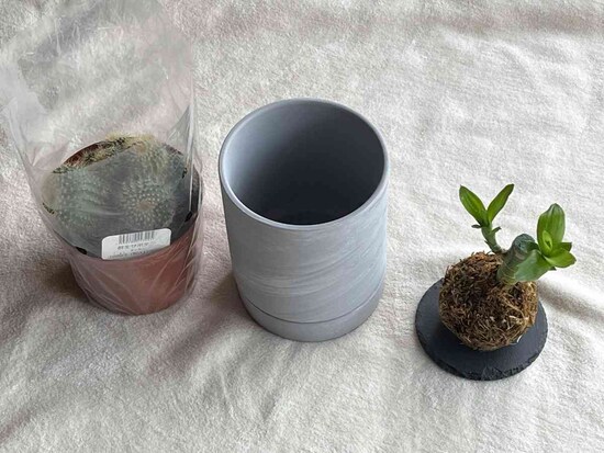 スタンダードプロダクツの「鉢」はおしゃれでスタイリッシュ。観葉植物も一緒に買える