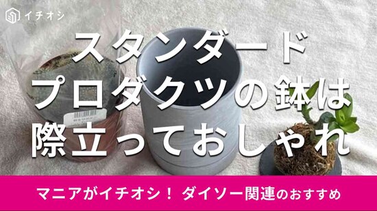 スタンダードプロダクツの「鉢」はおしゃれでスタイリッシュ！ 観葉植物も一緒に買える