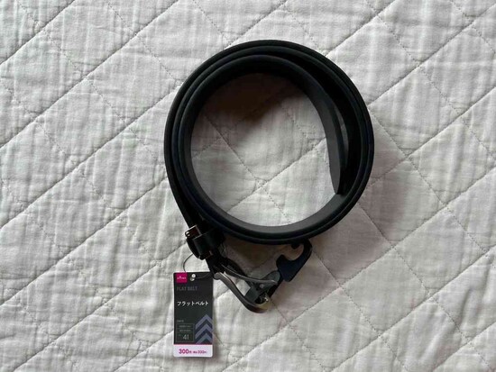 ダイソーの「フラットベルト」