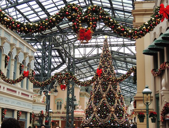 東京ディズニーランド