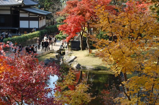 円覚寺境内の妙香池付近の紅葉