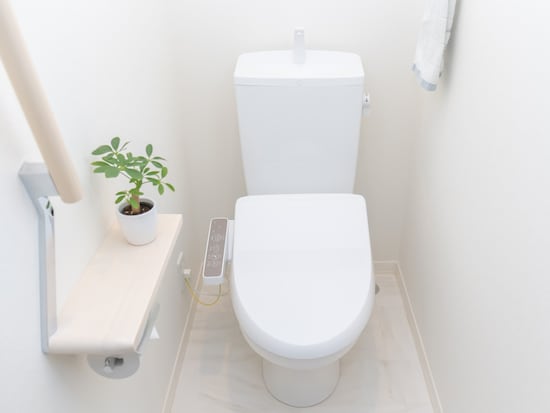 トイレが臭い家