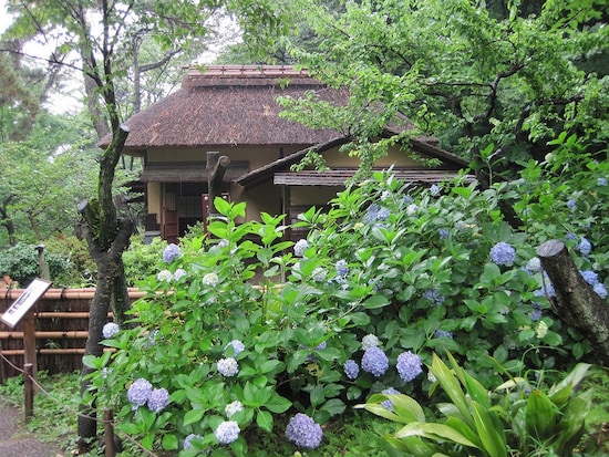 風情ある歴史的建造物とアジサイとのコラボレーション（提供画像）