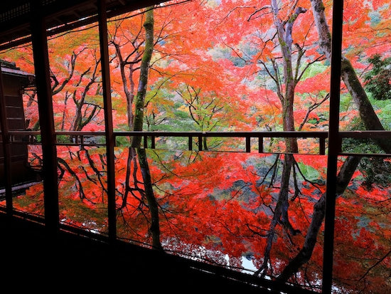 京都・嵐山の紅葉