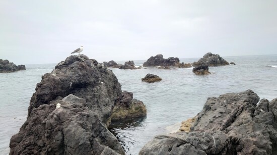 仙法志御崎公園（1）