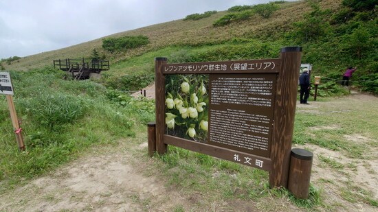 レブンアツモリソウ群生地