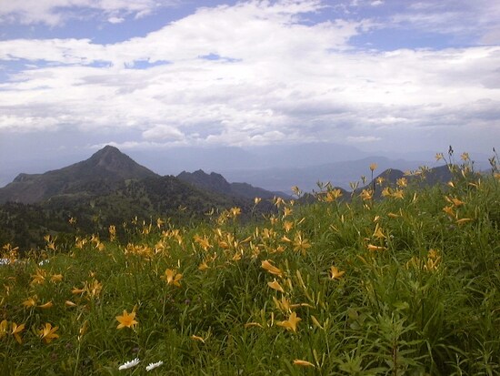 スカイレーター乗車中の眺め