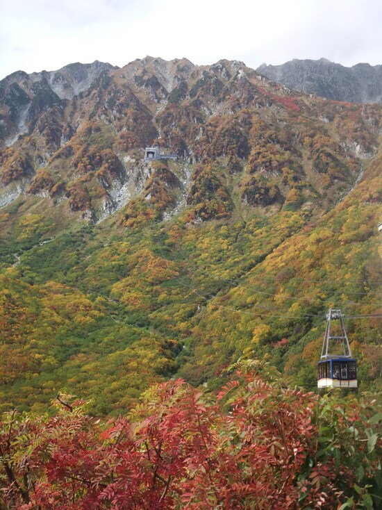 黒部平から望む紅葉（3）