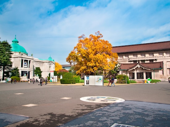 トーハクという愛称でもおなじみ、「東京国立博物館」