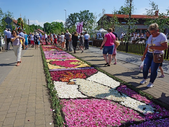 スピチミェシュの花の道