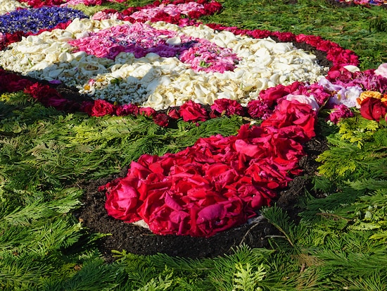 美しい花びらや葉っぱで作られている花の道