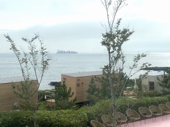 大きな貨物船の姿も。横須賀ならではの景色を堪能