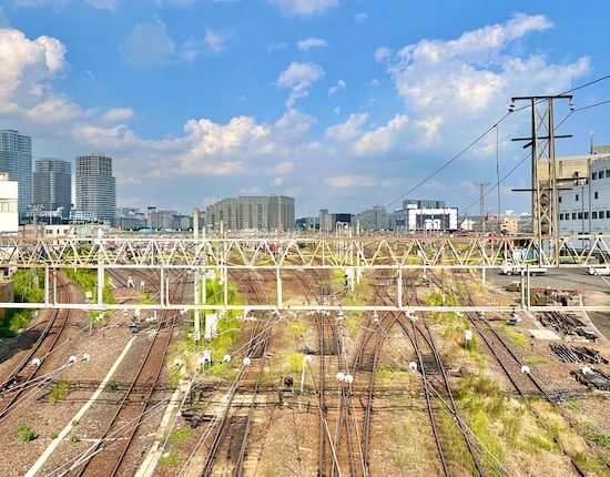 歩道橋上から撮影。なんでも「貨物列車マニアの聖地」とも呼ばれているのだとか！