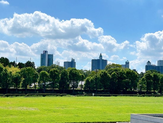 広大な敷地の県営公園「所沢航空記念公園」