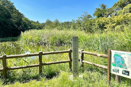 公園の西側は全体的に、なるべく自然の状態に近づけるような構成になっています